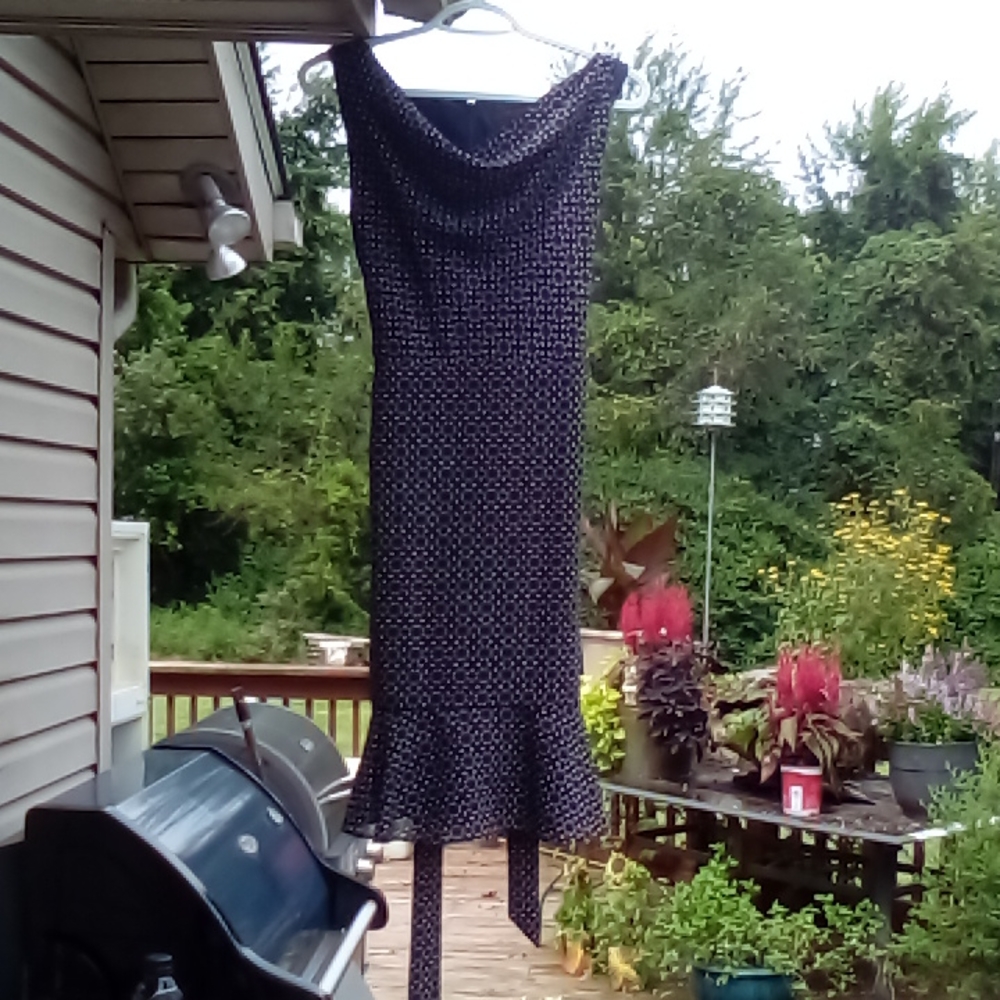 The Limited size 4 sleeveless dress.